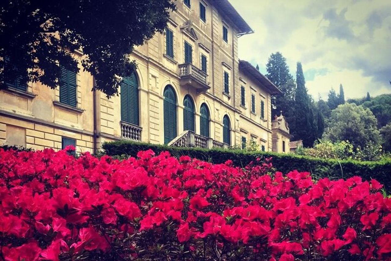 Attività di degustazione di vini nel Chianti Rufina