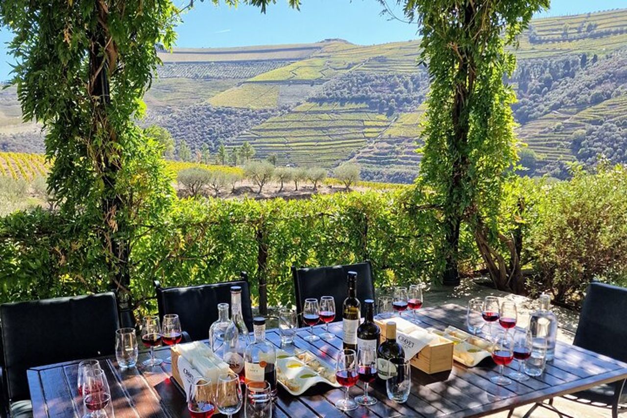Valle del Douro-Guida Esperta-Barca-Pranzo-Degustazioni-Offerta bottiglia di vino — 2