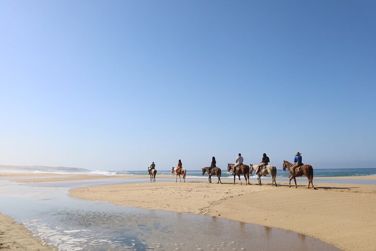Tour a cavallo a Cabo San Lucas — 8
