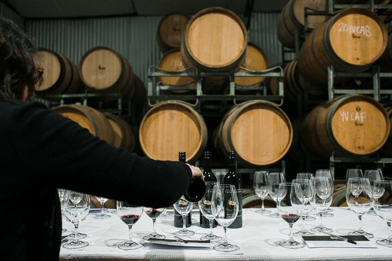 Due Degustazioni di Vini e Visita ad una Cantina Storica All'interno delle Antiche Mura di Montalcino — 4