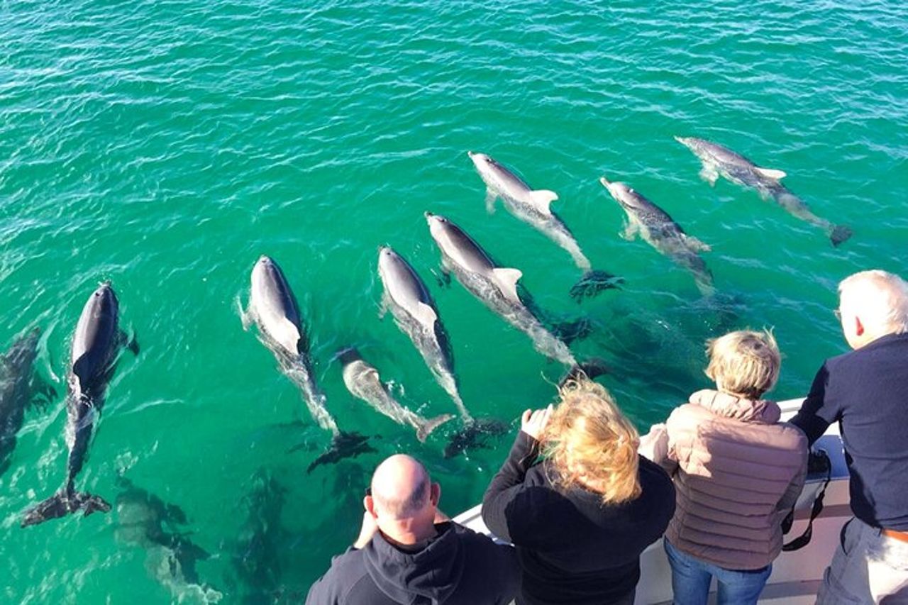 Safari costiero di 75 minuti a Kangaroo Island — 2