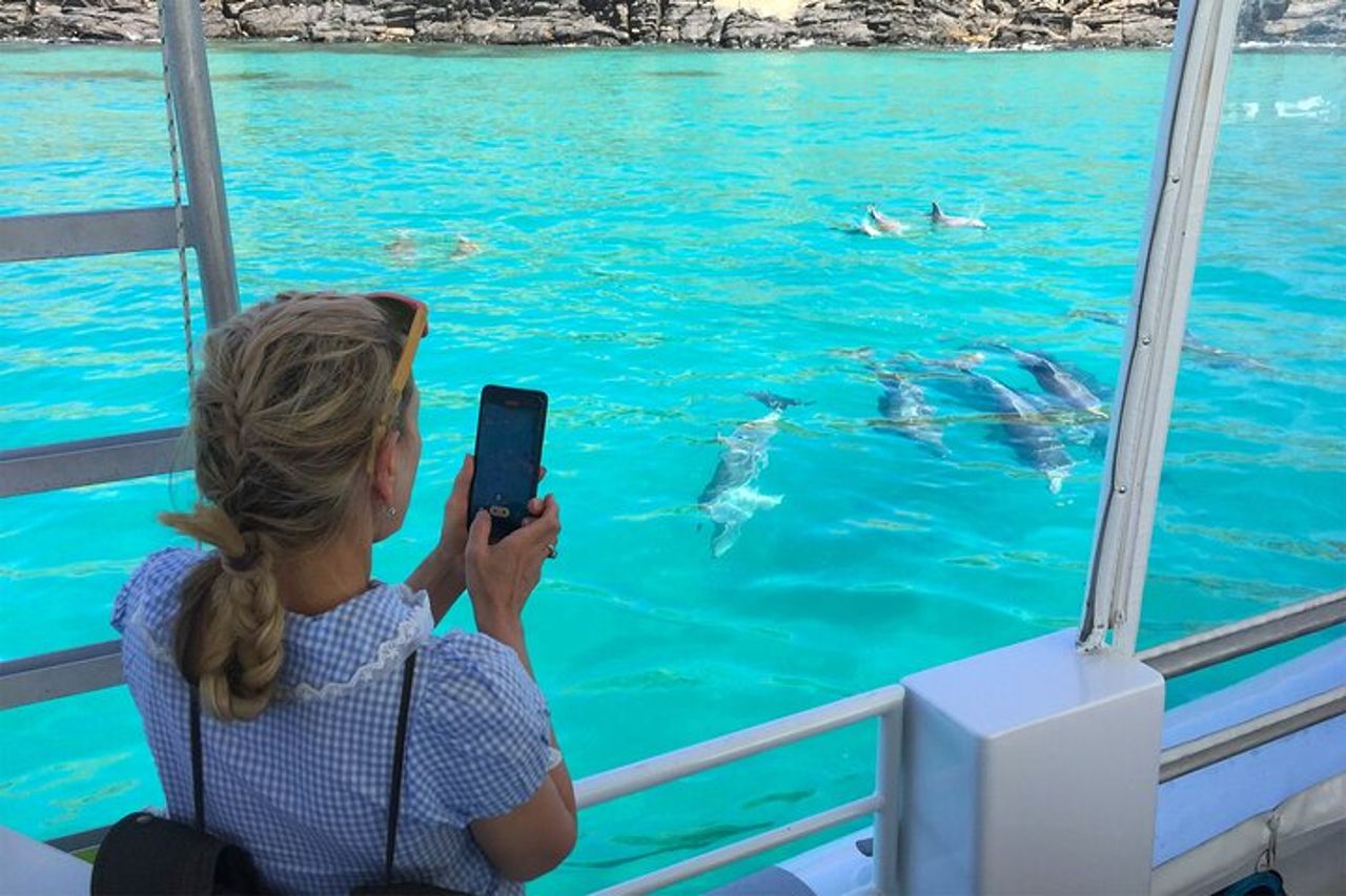Safari costiero di 75 minuti a Kangaroo Island — 4
