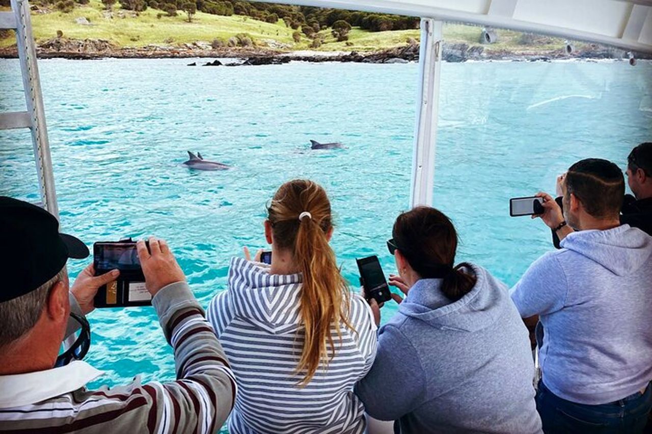 Safari costiero di 75 minuti a Kangaroo Island — 7