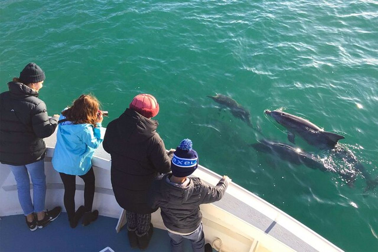 Safari costiero di 75 minuti a Kangaroo Island — 9