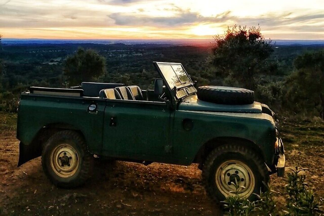 Safari di 2 ore a Cork in una Land Rover classica