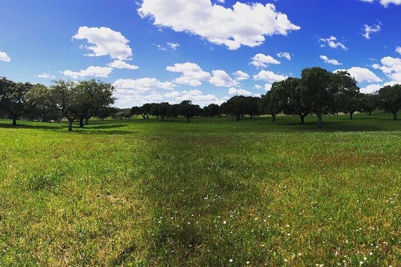 Tour di 2 ore a Cork in jeep — 9