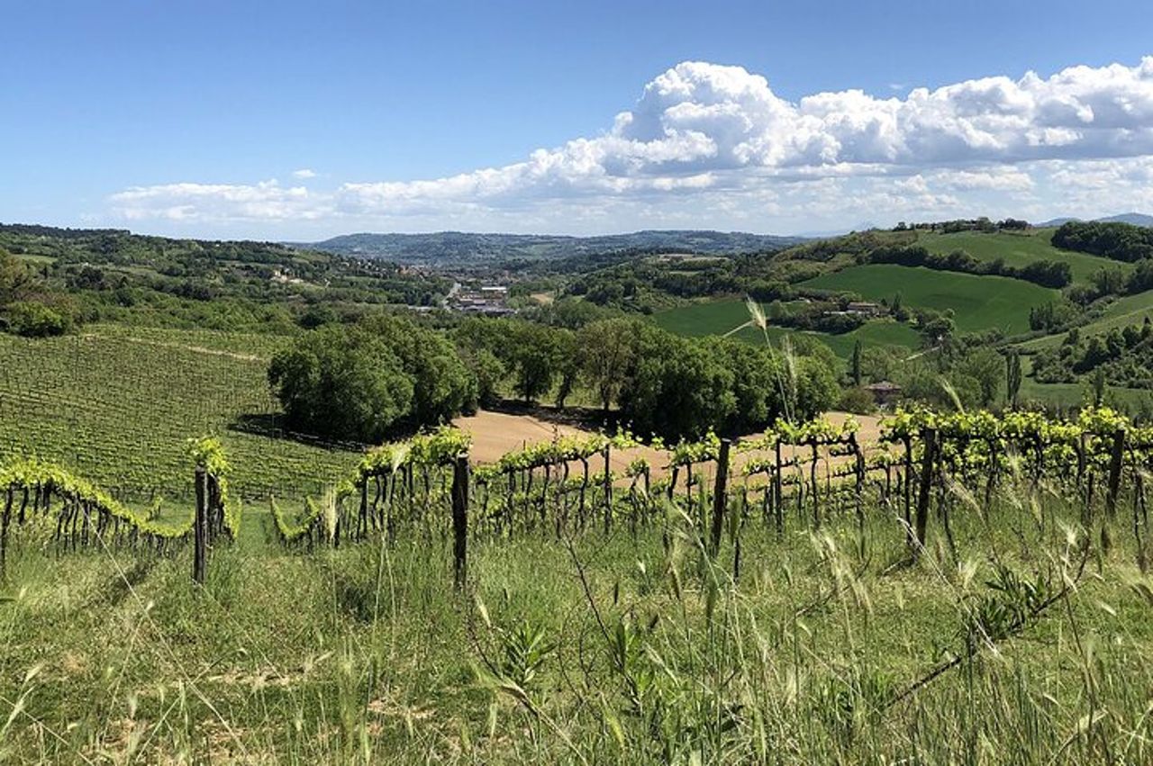 Picnic di 5 ore in Ebike sul Monte San Bartolo — 5