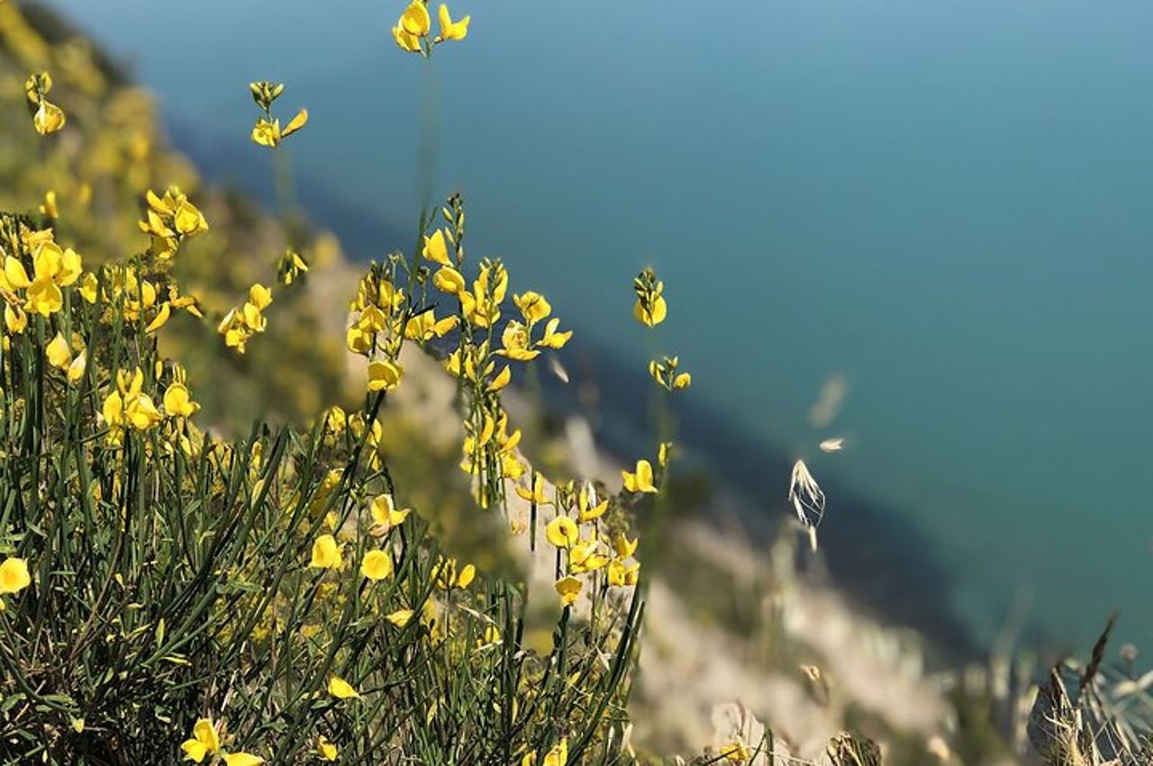 Picnic di 5 ore in Ebike sul Monte San Bartolo — 7