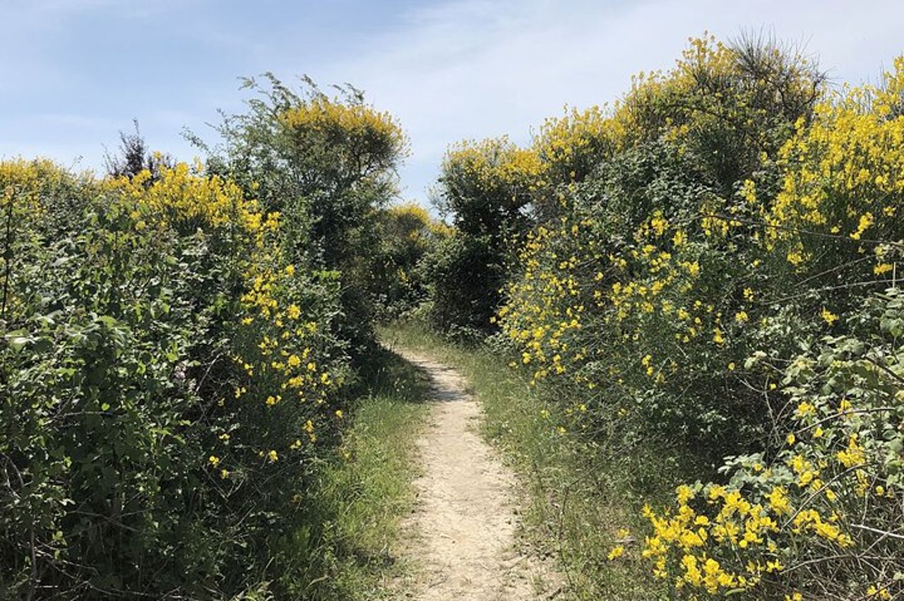 Picnic di 5 ore in Ebike sul Monte San Bartolo — 8