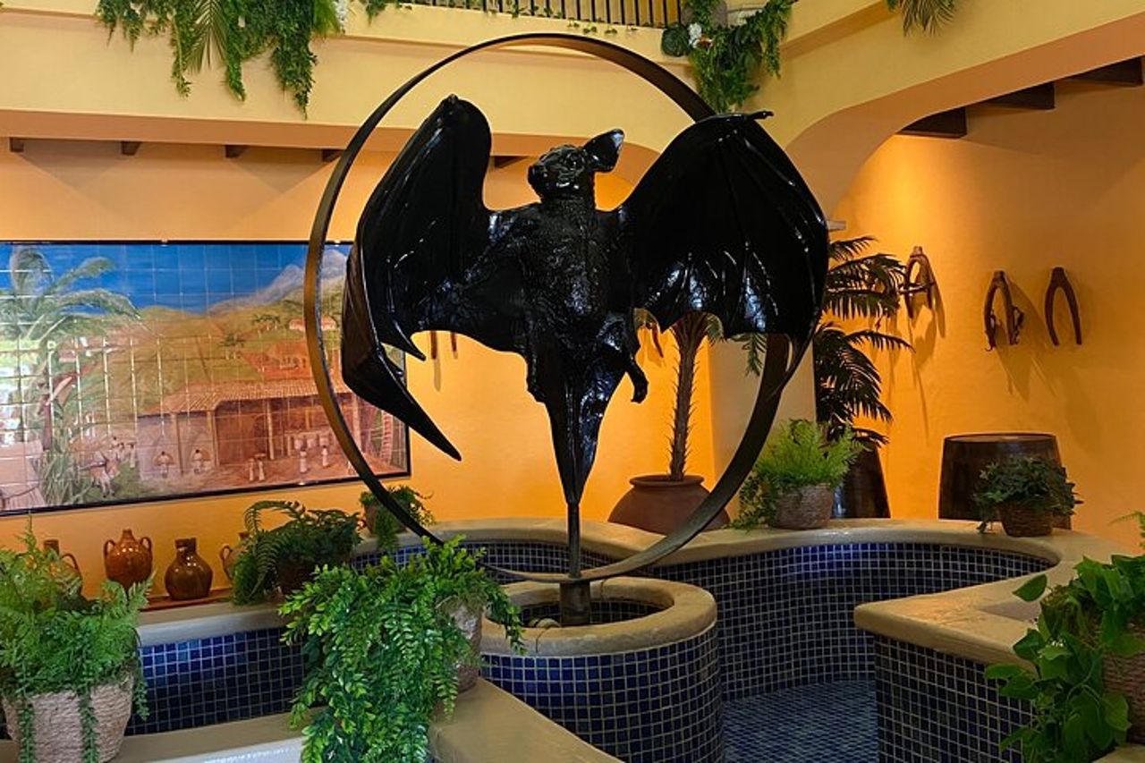 Bacardi Rum Distillery e Old San Juan Tour — 5