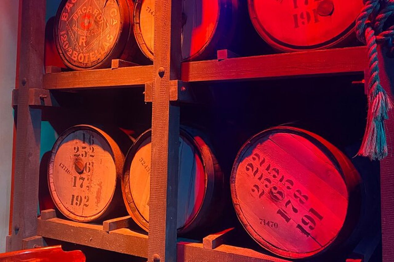 Bacardi Rum Distillery e Old San Juan Tour — 7