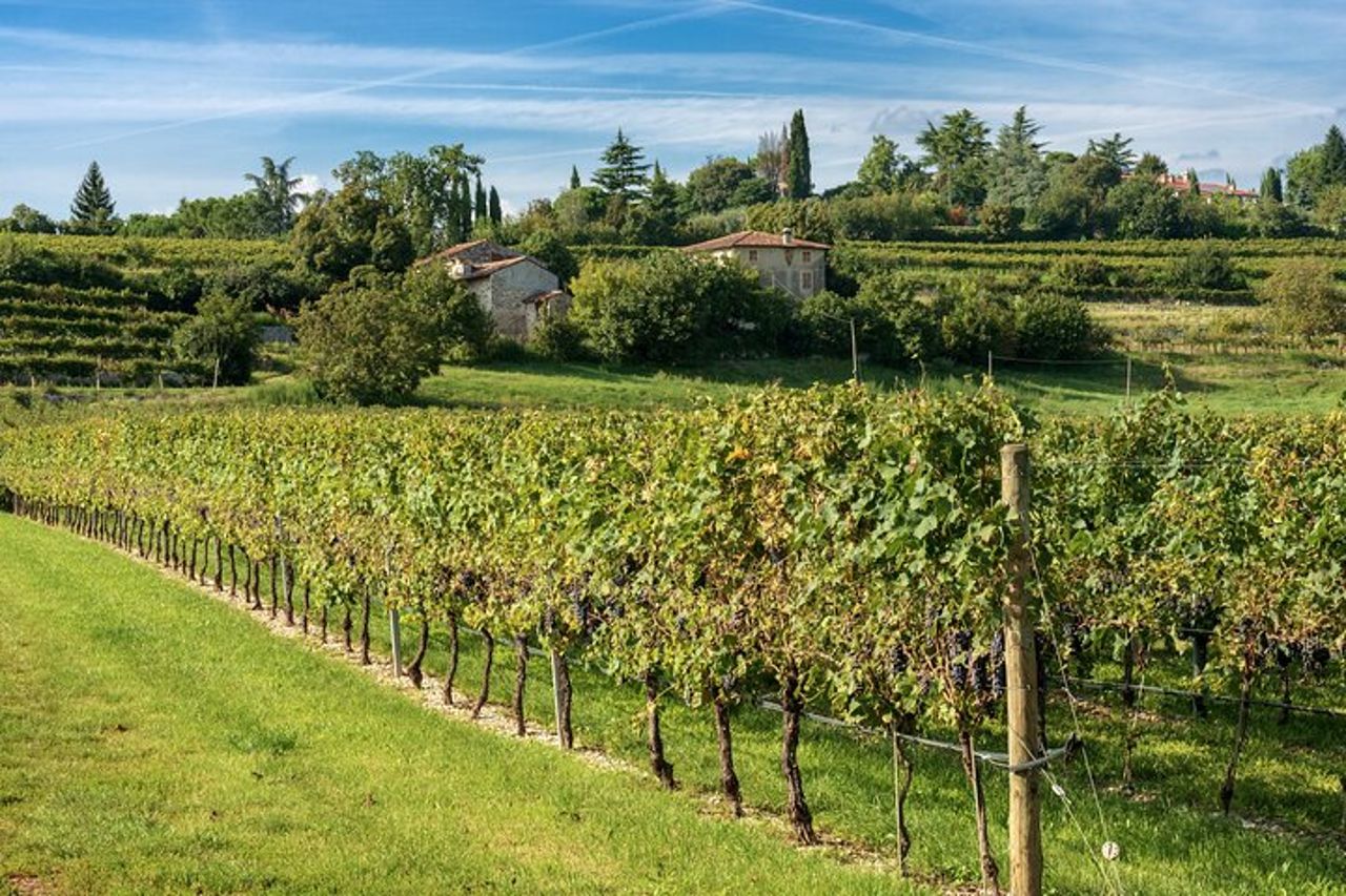 Da Verona: Valpolicella wine tour experience — 9