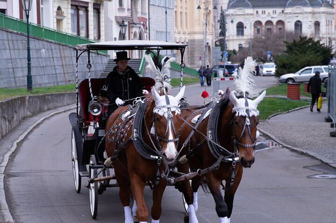 Karlovy Vary: visita la città termale più bella in un tour privato — 6