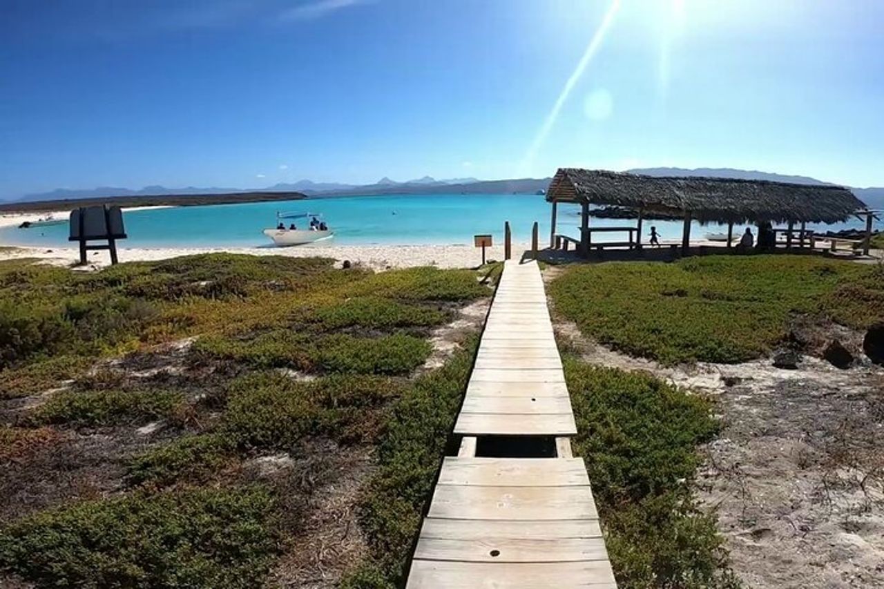 Coronado Island Avventura, snorkeling e picnic sulla spiaggia — 5