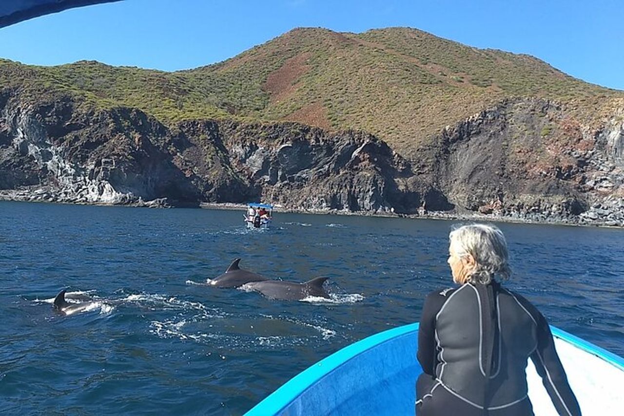 Coronado Island Avventura, snorkeling e picnic sulla spiaggia — 7