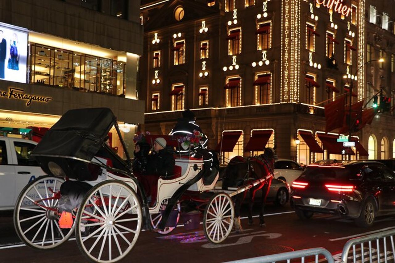 Giro in carrozza privata con le luci di Natale a New York City — 6