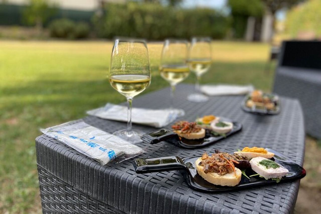 E-Bike Tour Guidato con Degustazione in Cantina