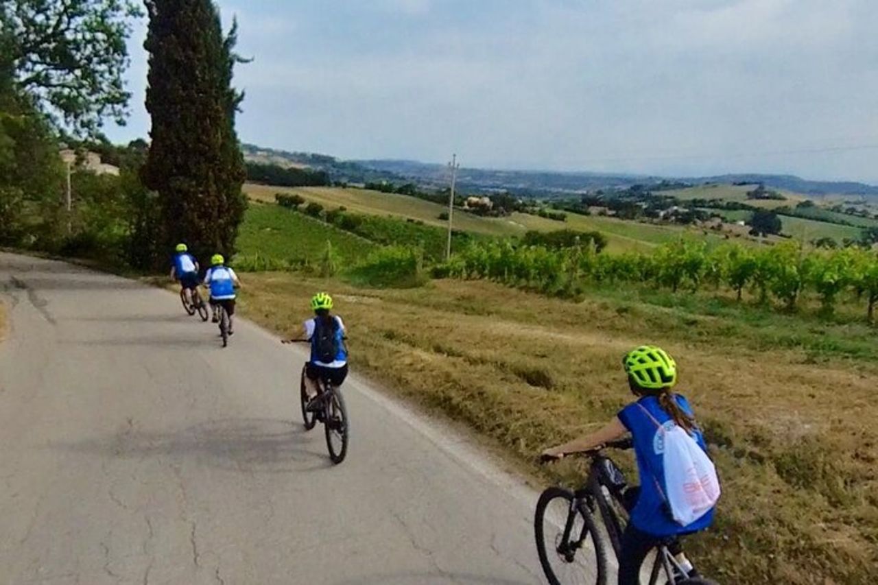 E-Bike Tour Guidato con Degustazione in Cantina — 8