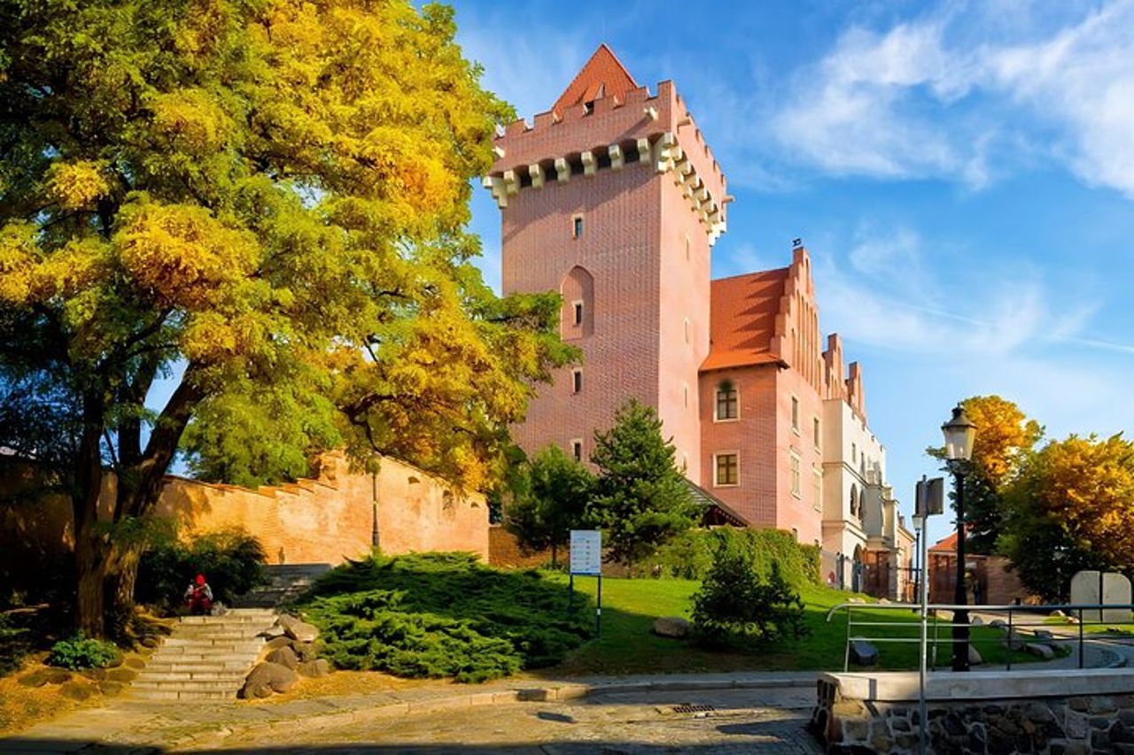 Angoli affascinanti di Poznan – Tour privato a piedi — 2