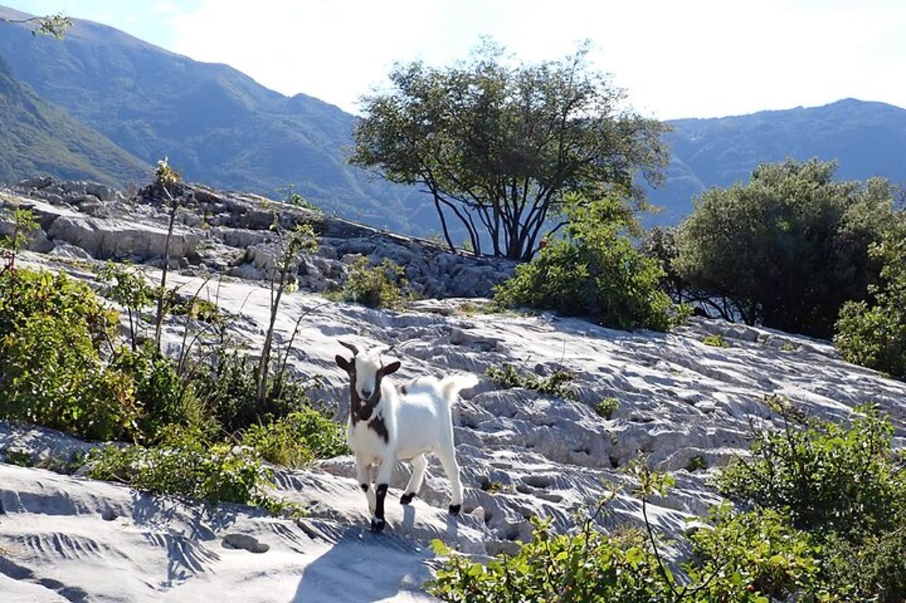 Via Ferrata facile di 3 ore al Sentiero Colodri per tutta la famiglia — 6