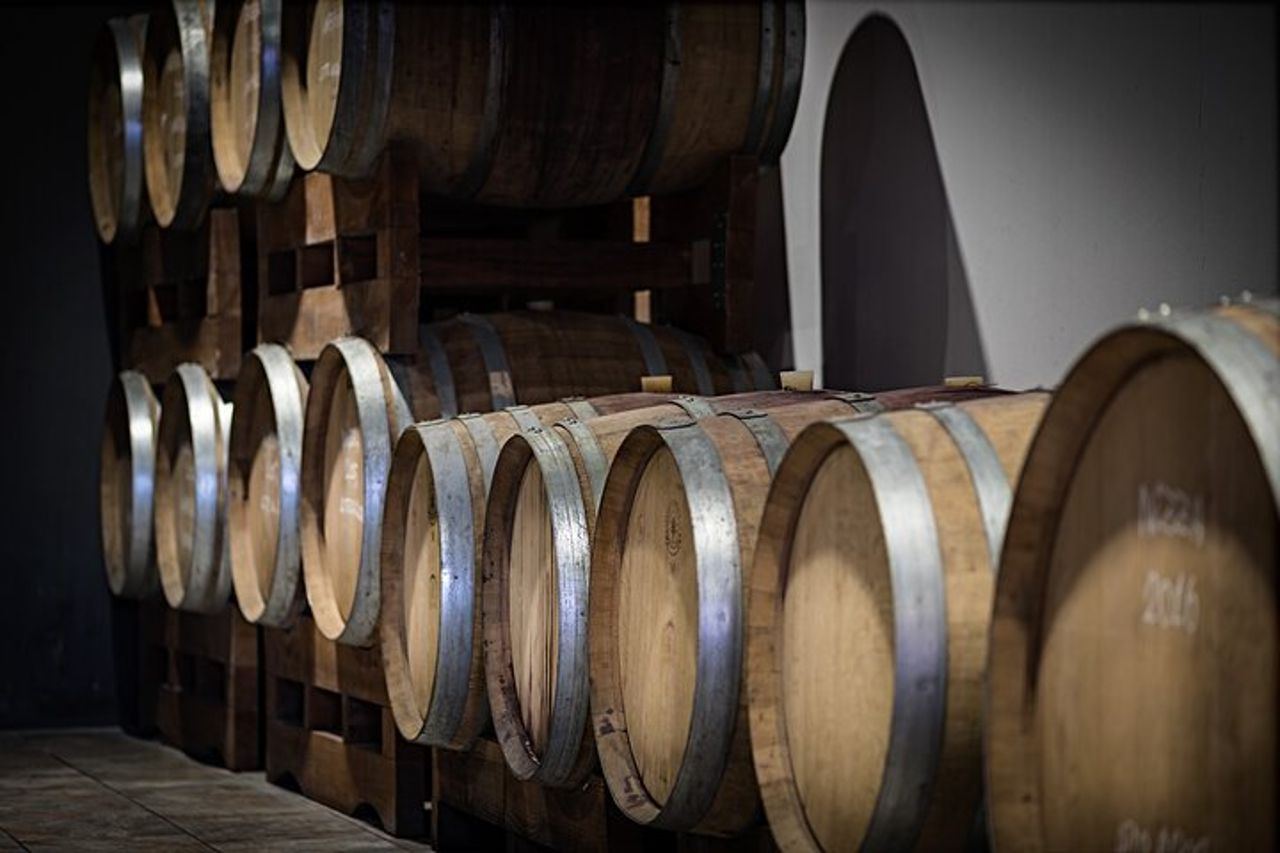 Monferrato: Visita guidata in cantina e picnic tra i vigneti — 9