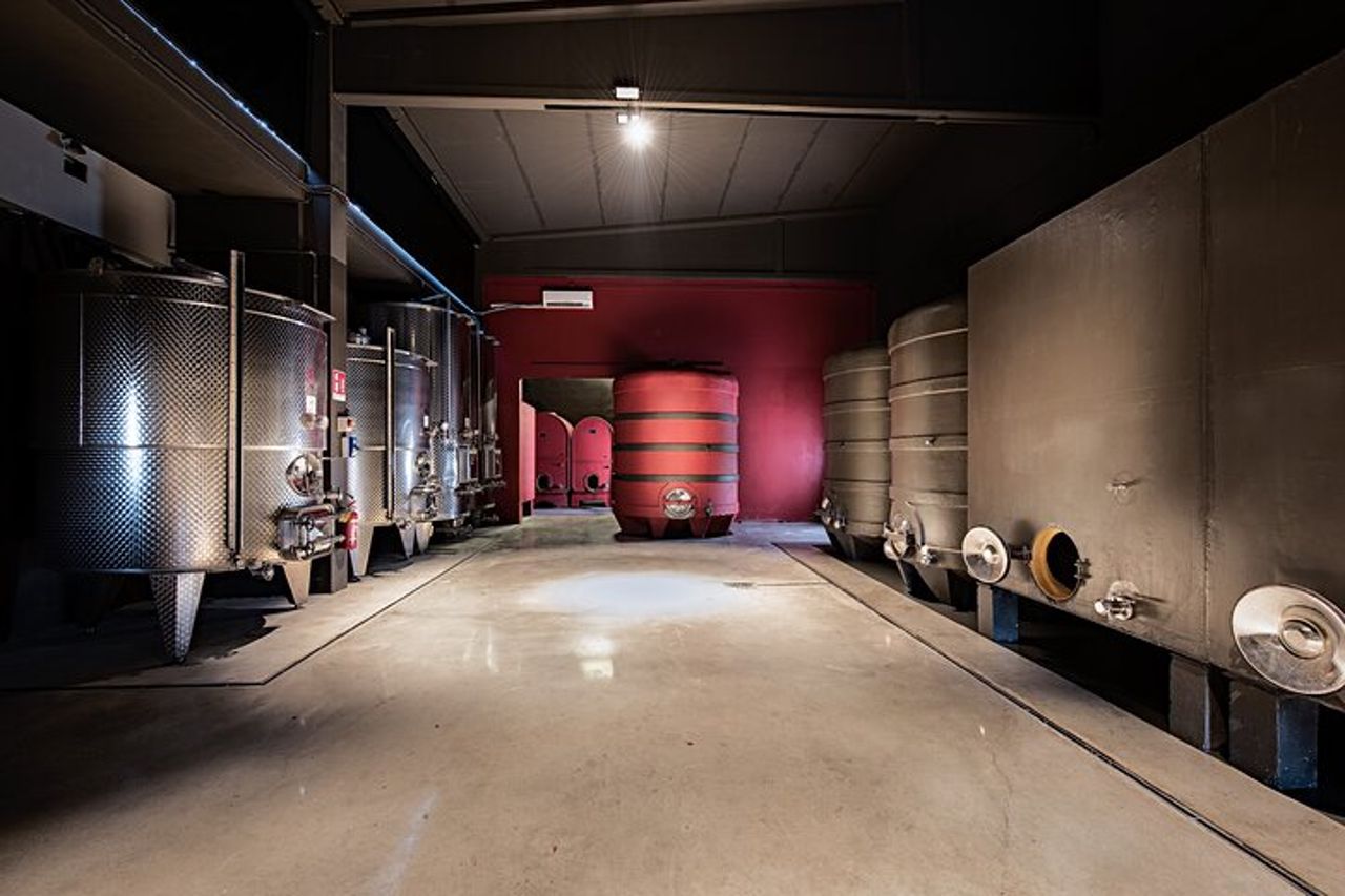 Monferrato: Visita guidata in cantina e picnic tra i vigneti — 7