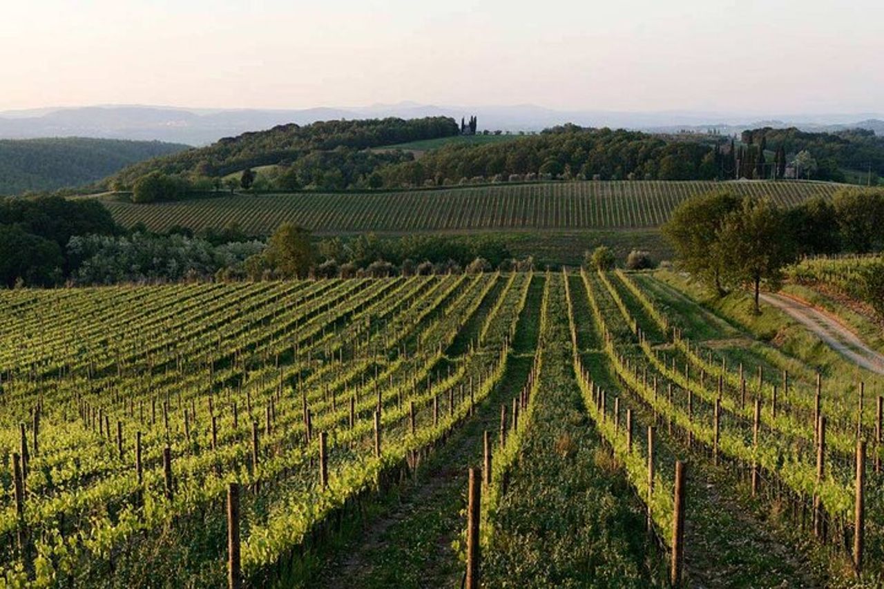 Wine Lovers Experience in Montalcino — 2