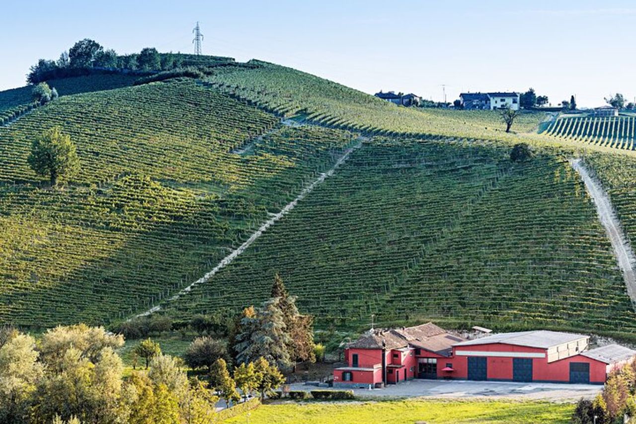 Monferrato: Visita guidata in cantina e picnic tra i vigneti — 6