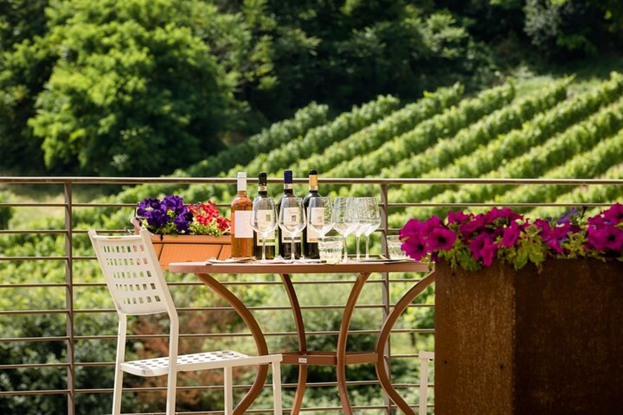 San Gimignano: Visita guidata in cantina con degustazione di vino