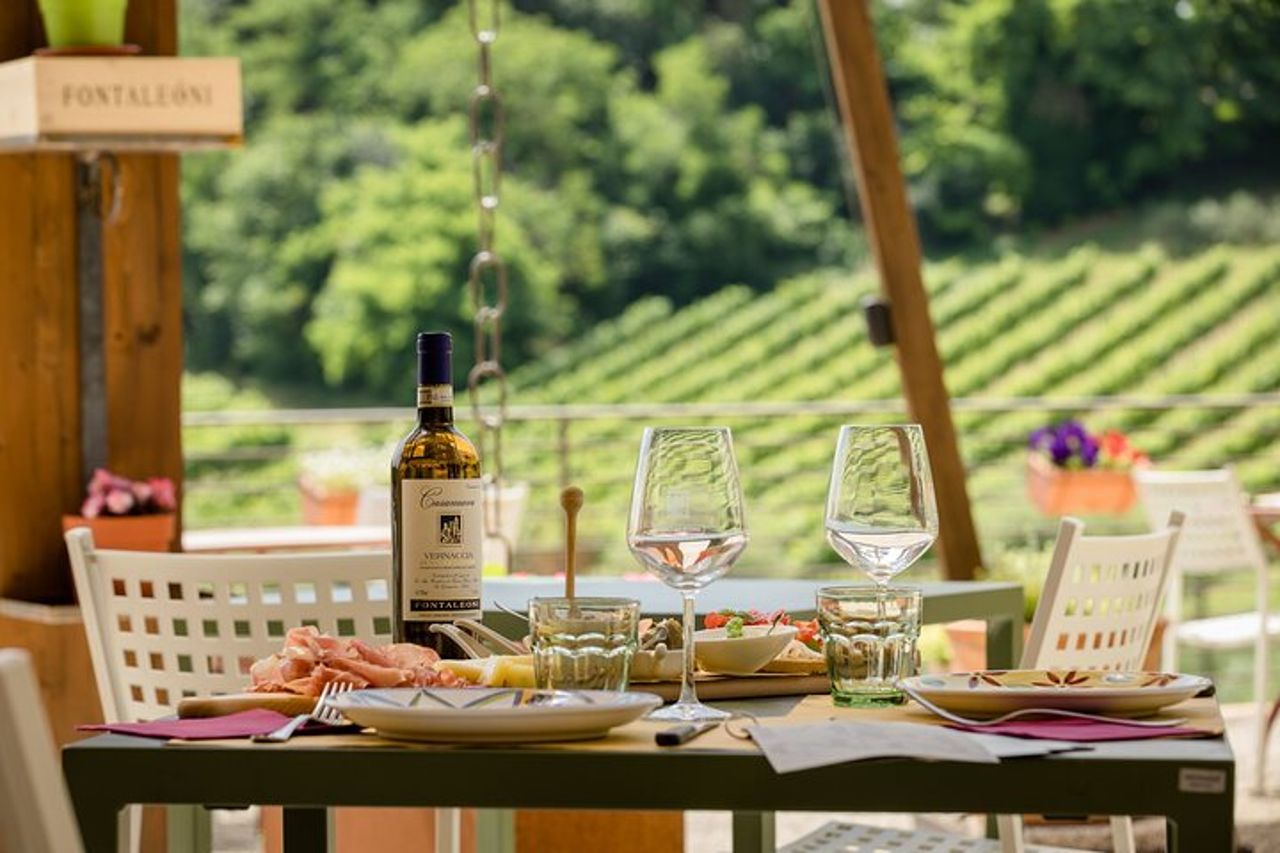 San Gimignano: Visita guidata in cantina con degustazione di vino — 5