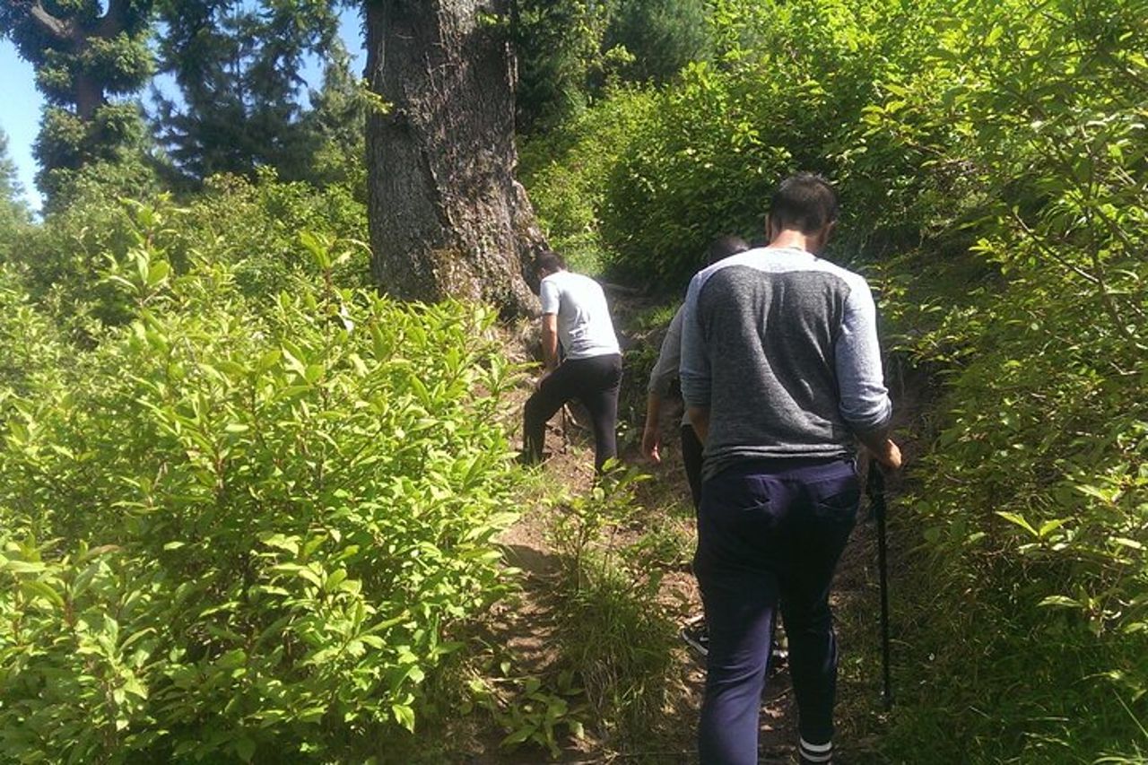 Tour di trekking di un'intera giornata al prato di Mohanmarg — 6