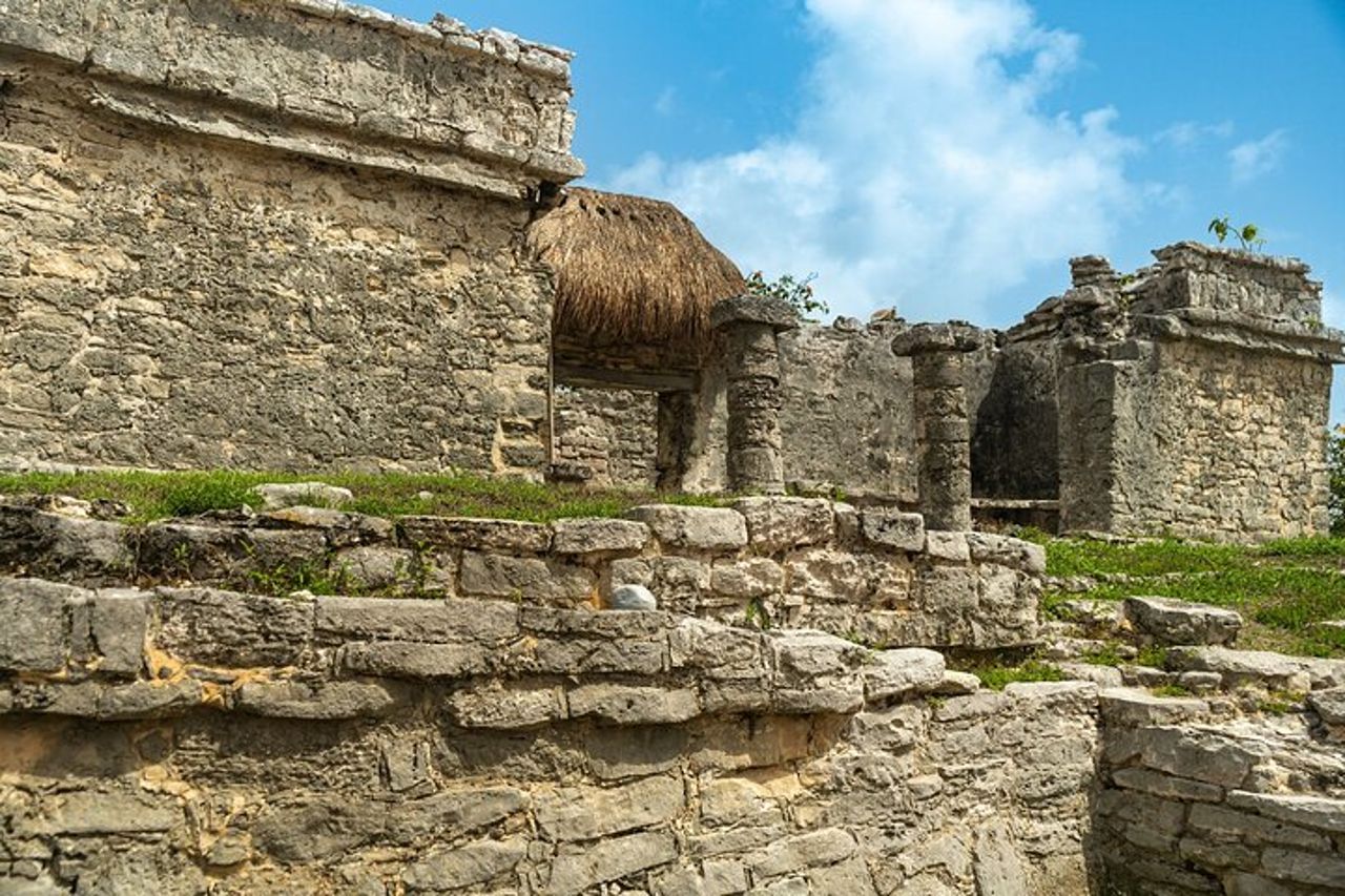 Tour di un'intera giornata alle rovine di Tulum Cenote e nuoto con le tartarughe marine — 4