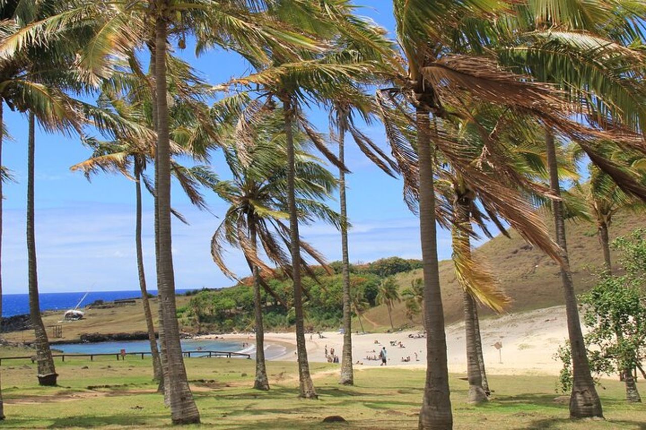 Tour privato di un'intera giornata: Fabbrica dei Moai, i giganti di pietra — 9