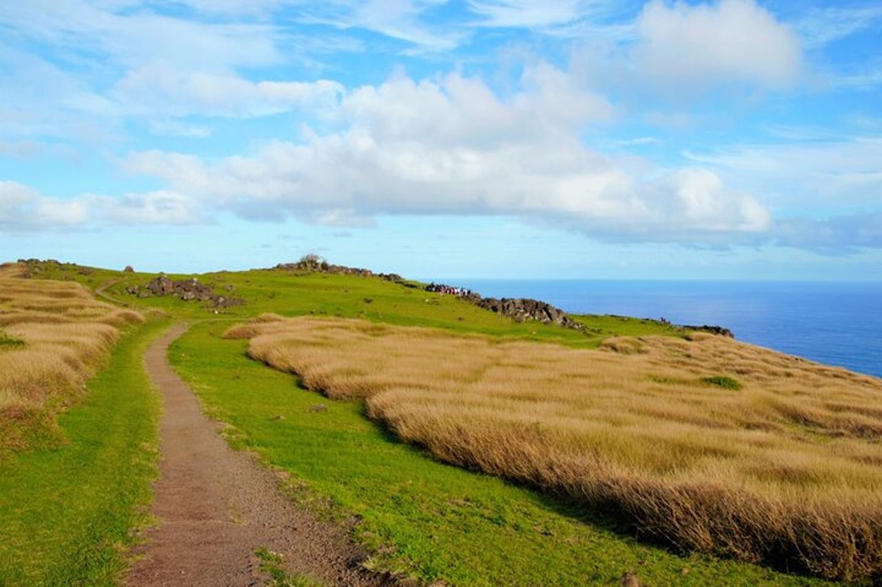 Tour privato di mezza giornata: Rano Kau e Orongo la città dei re — 6