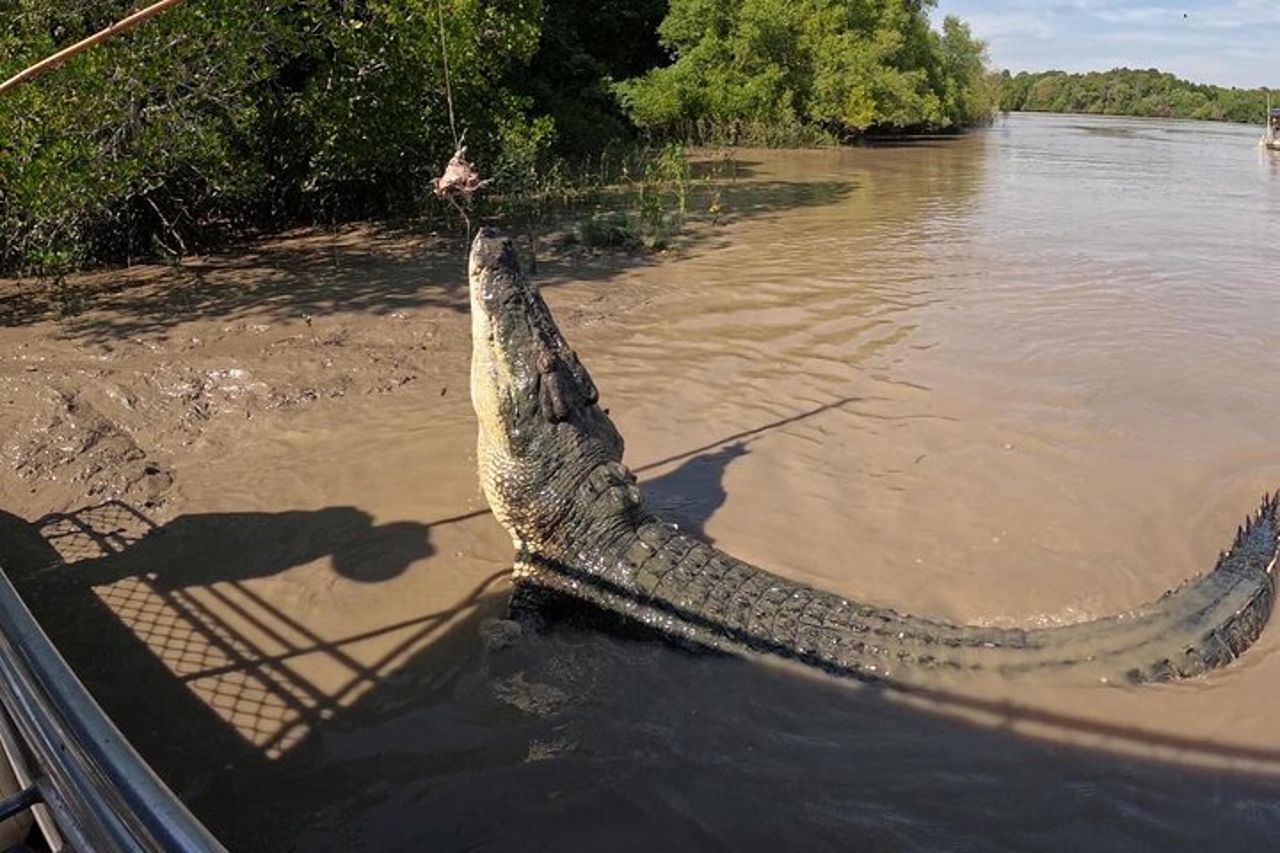 Il Croc Bus per la famosa crociera sui coccodrilli che saltano — 6