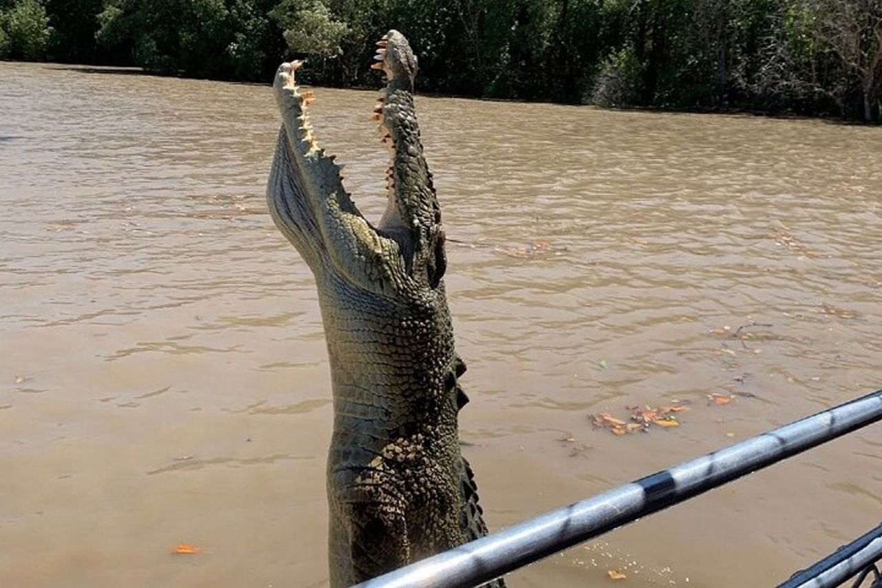 Il Croc Bus per la famosa crociera sui coccodrilli che saltano