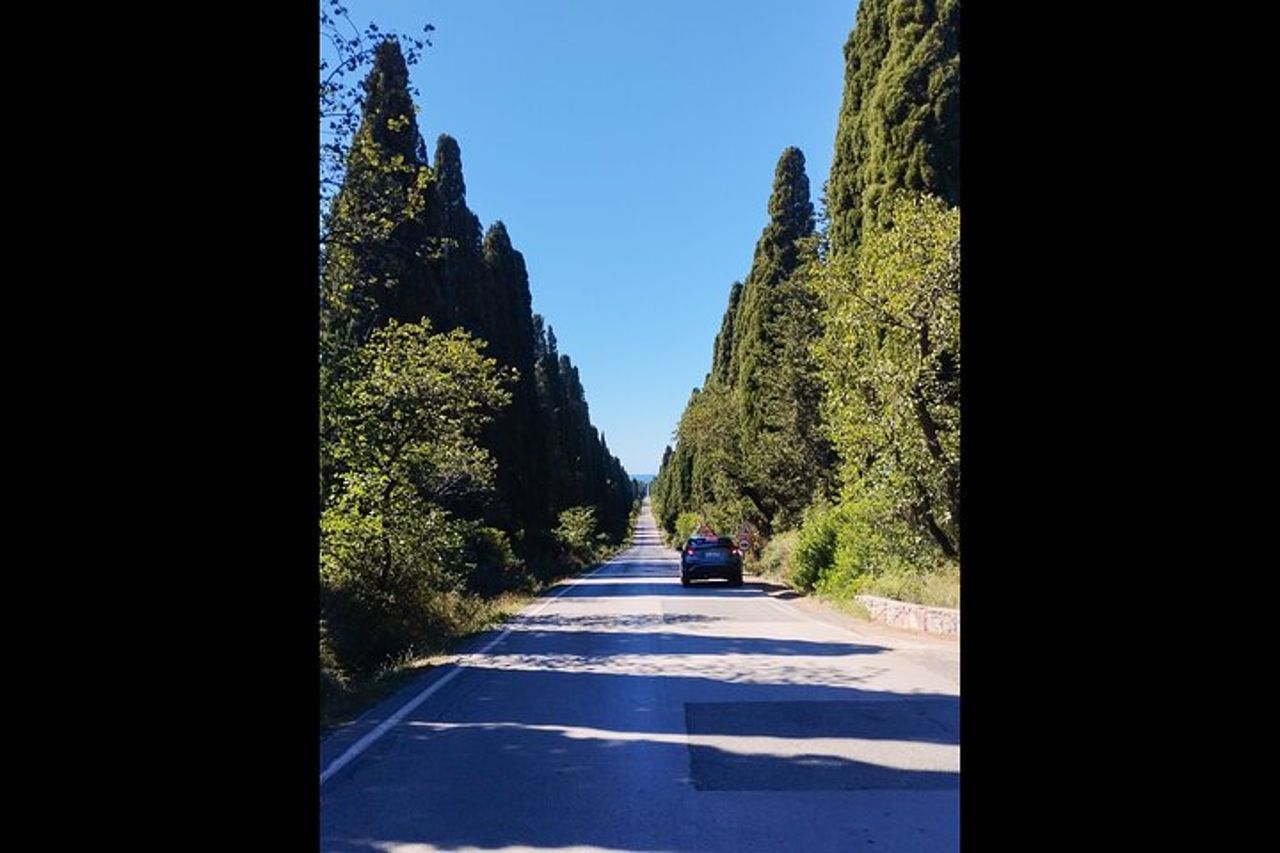 Da Firenze PRIVATO: Bolgheri Wine Tour, degustazione tra le colline costiere toscane — 5