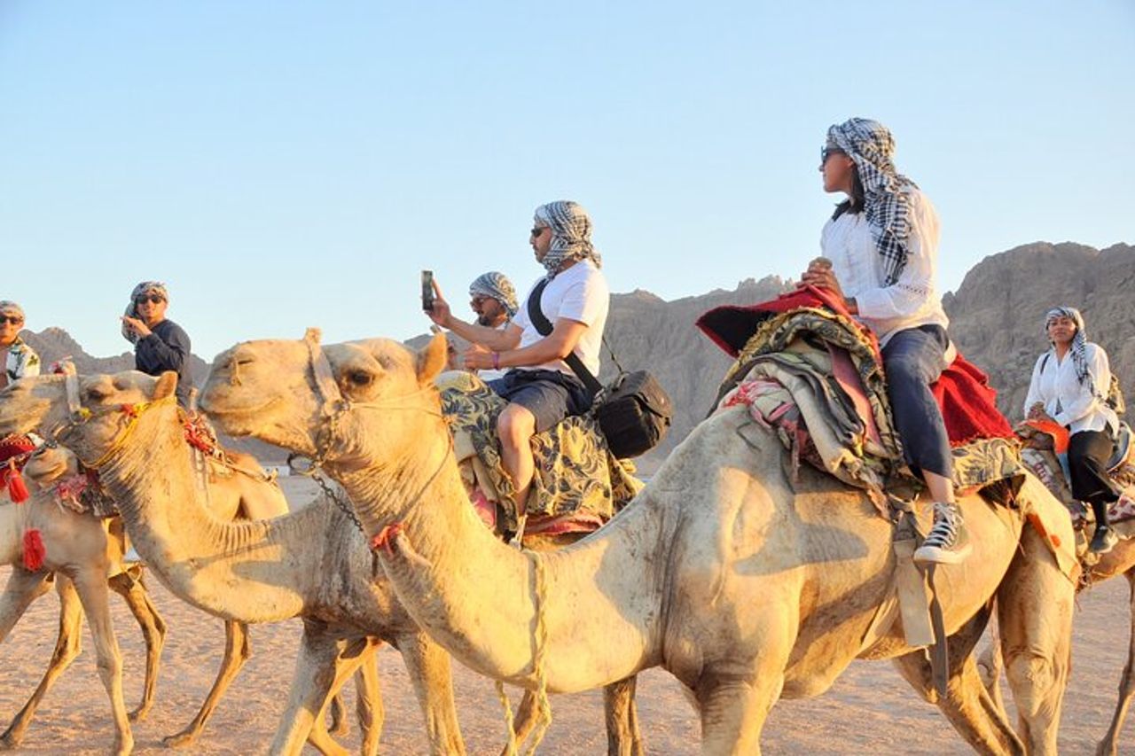 Quad safari 5 in 1, cammello, spettacolo, cena e osservazione delle stelle a Sharm — 3