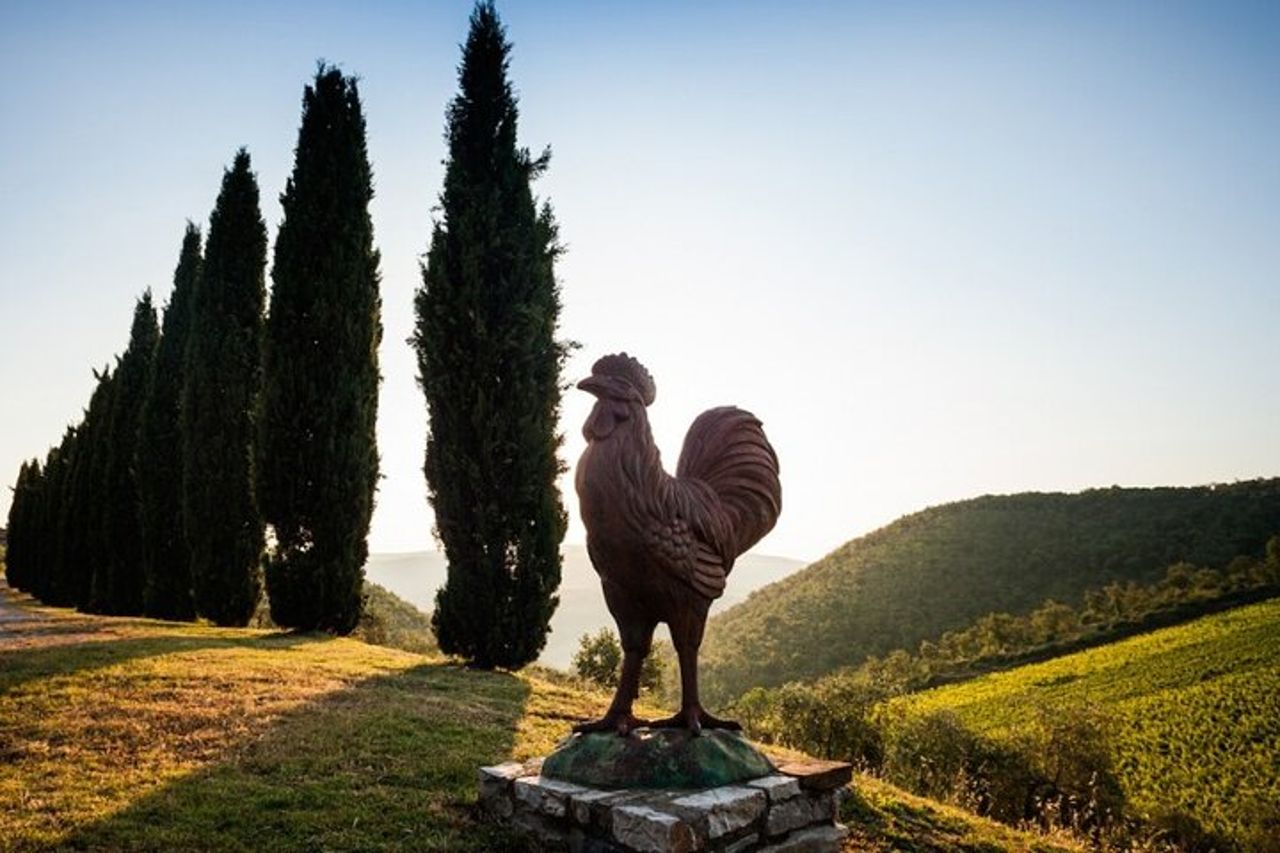 Semi Privato Deep Wine Chianti e San Gimignano da Firenze — 2