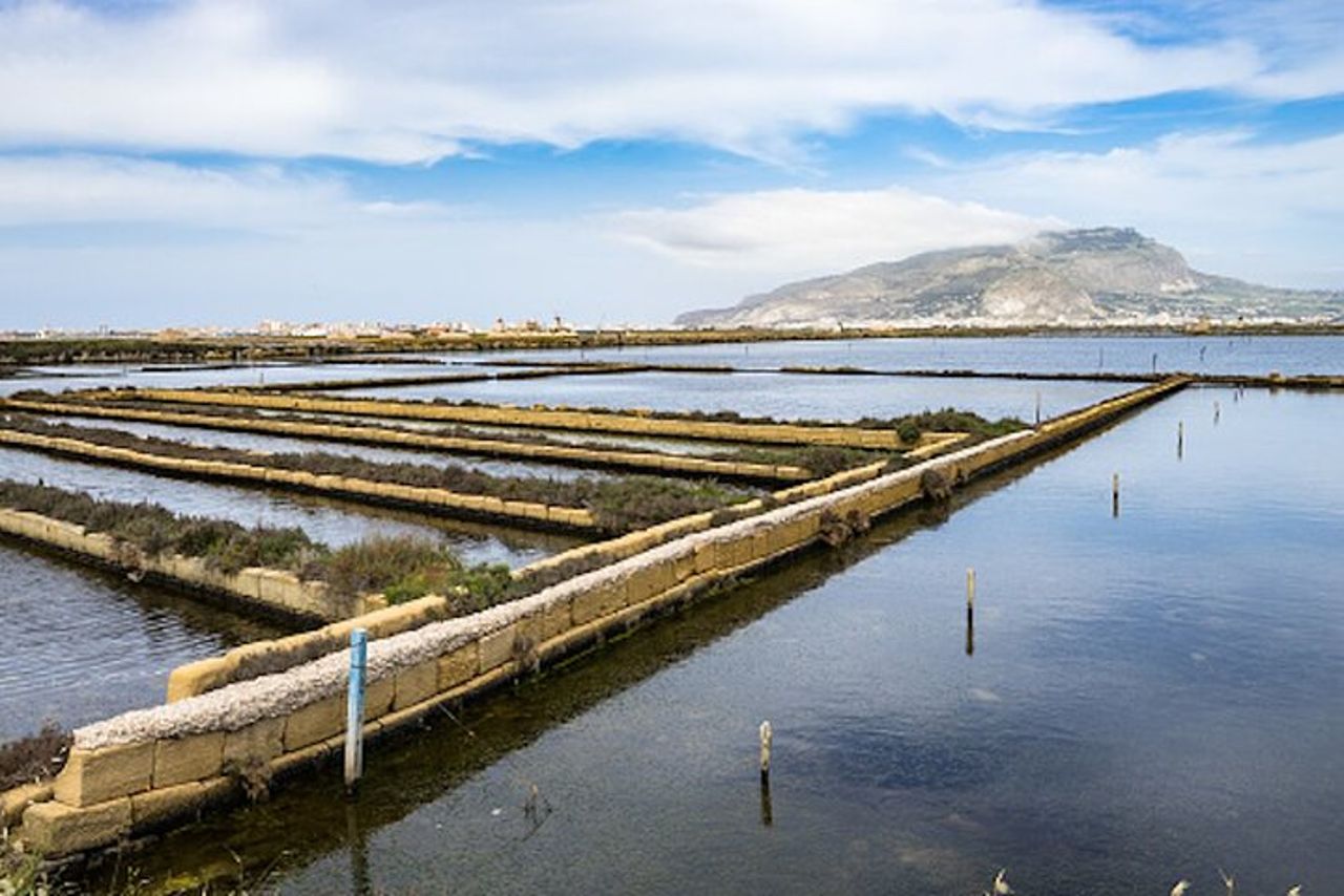Visita guidata delle Saline di Marsala e raccolta del sale — 4