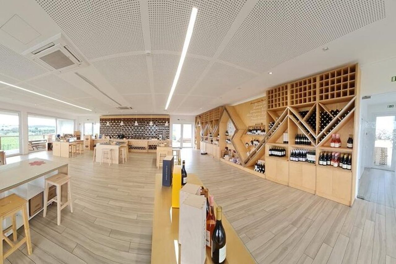 Évora, tour privato con degustazione di vini e tanta storia. — 4