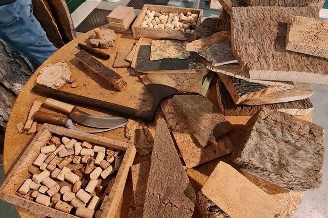 Évora, tour privato con degustazione di vini e tanta storia. — 7