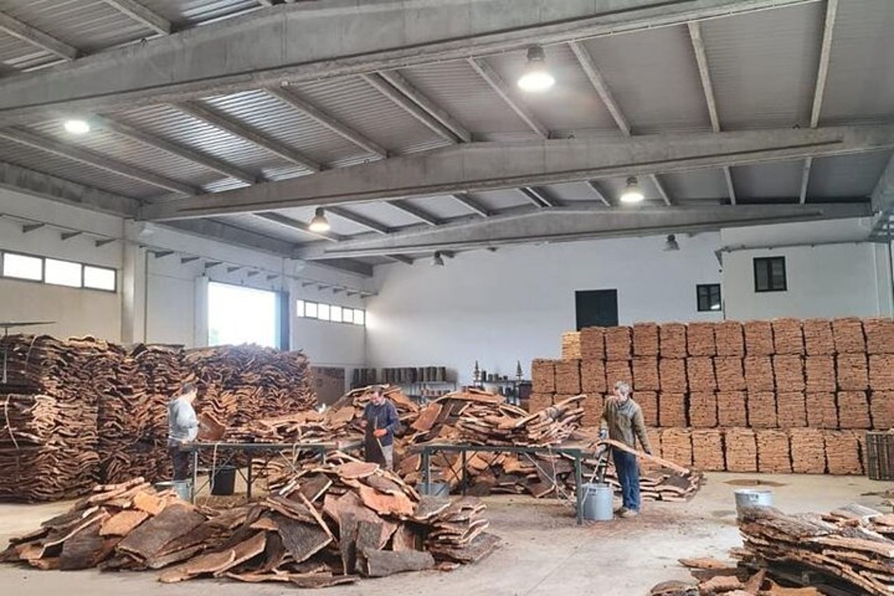 Évora, tour privato con degustazione di vini e tanta storia. — 5