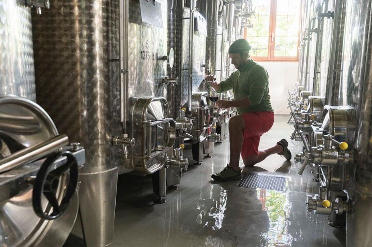 Tour privato di aziende agricole biologiche e vini naturali in Valtellina — 2