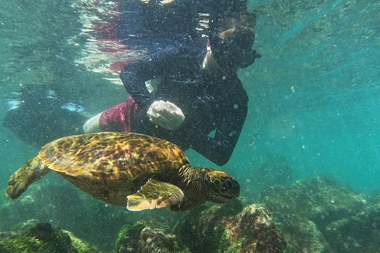 Gita di un giorno con snorkeling all'Isola di Pinzon e La Fe — 4