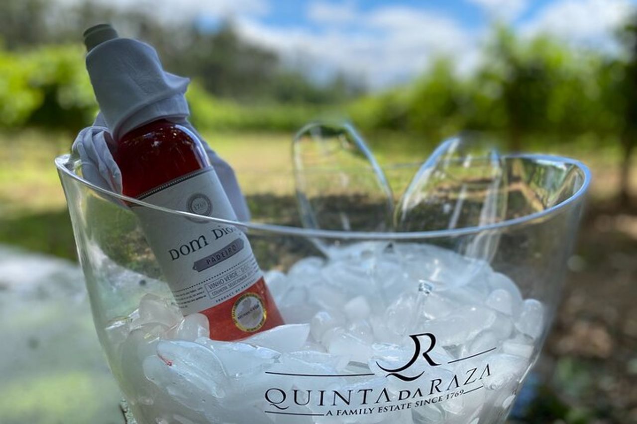 Quinta da Raza | Scoprite i vitigni autoctoni della regione di Basto — 3
