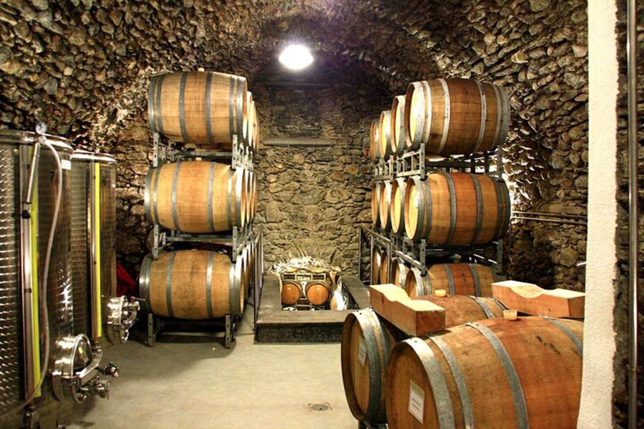 Tour privato di aziende agricole biologiche e vini naturali in Valtellina — 4