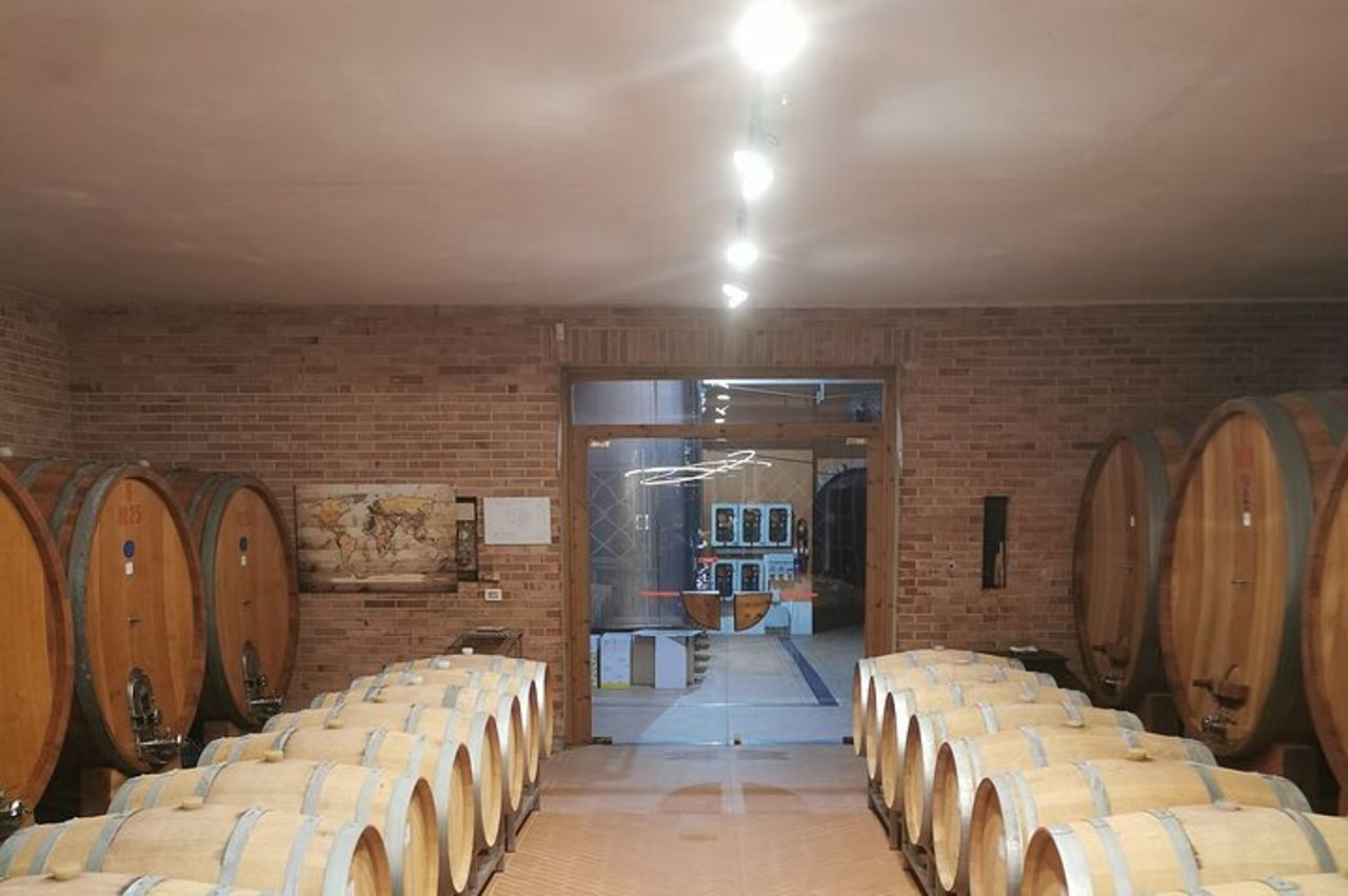 Barolo & Barbaresco Wine Experience con un Vignaiolo Locale / Asti — 6
