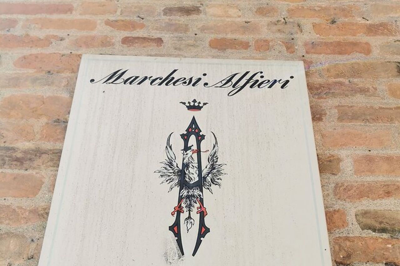 Barolo & Barbaresco Wine Experience con un Vignaiolo Locale / Asti — 8