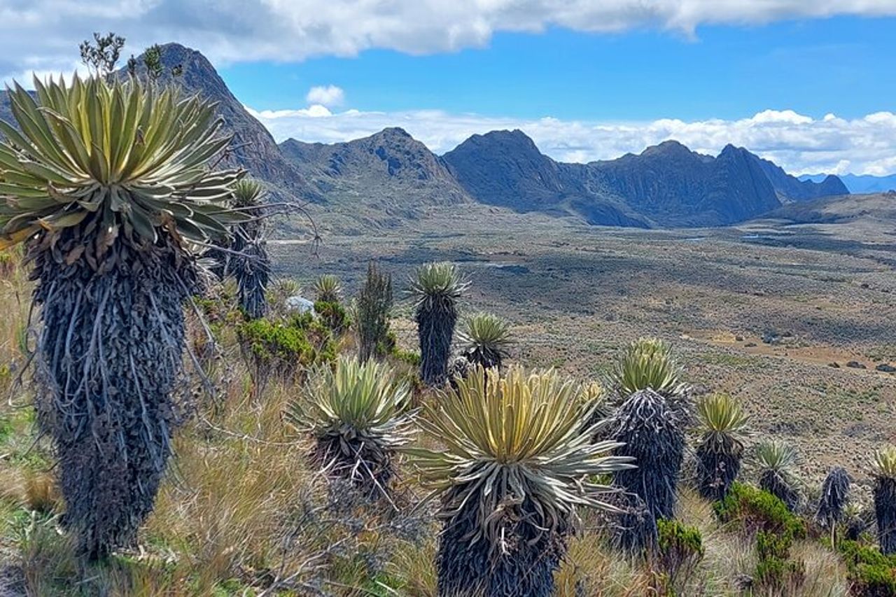 Escursione al paramo più grande della terra: Sumapaz — 8